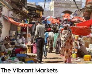 The Vibrant Markets
