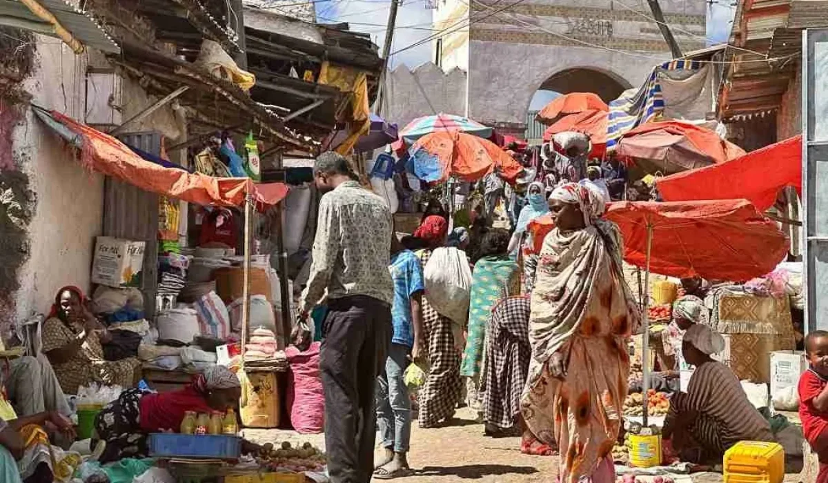 The Vibrant Markets